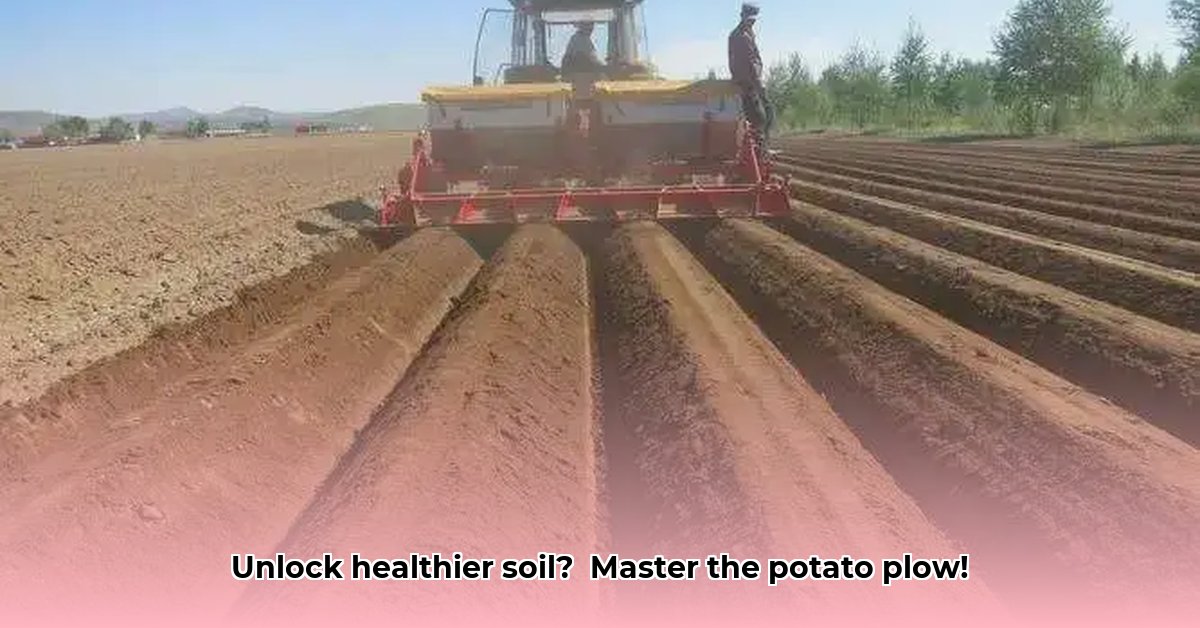 potato-plow-tractor-supply